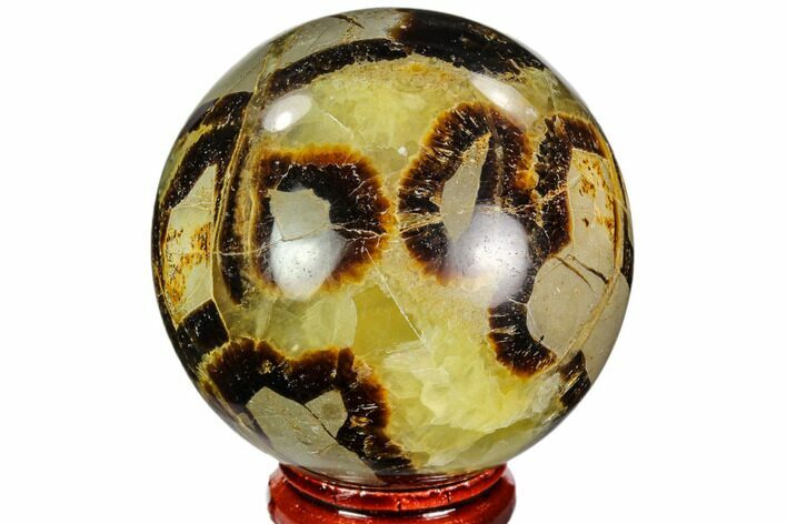 Polished Septarian Sphere - Madagascar #110658
